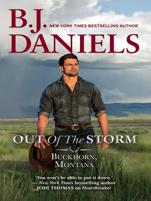 Title details for Out of the Storm by B.J. Daniels - Available